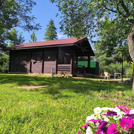 Casas Rurales Tabla Honda El Robledo  ภายนอก รูปภาพ