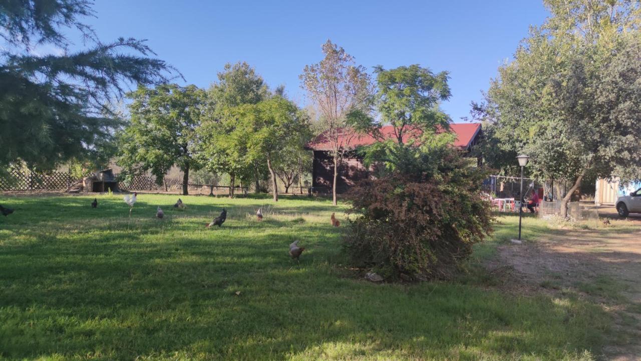 Casas Rurales Tabla Honda El Robledo  ภายนอก รูปภาพ