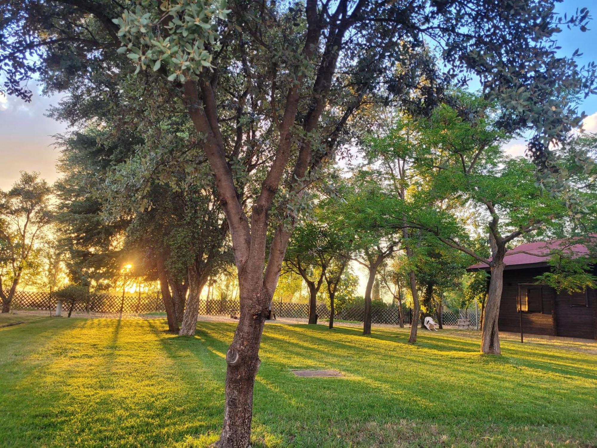Casas Rurales Tabla Honda El Robledo  ภายนอก รูปภาพ
