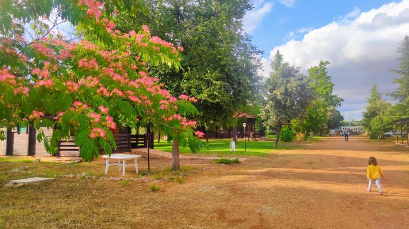 Casas Rurales Tabla Honda El Robledo  ภายนอก รูปภาพ